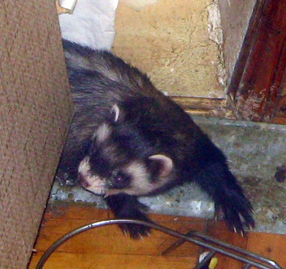 14.08.2009 0:23:48