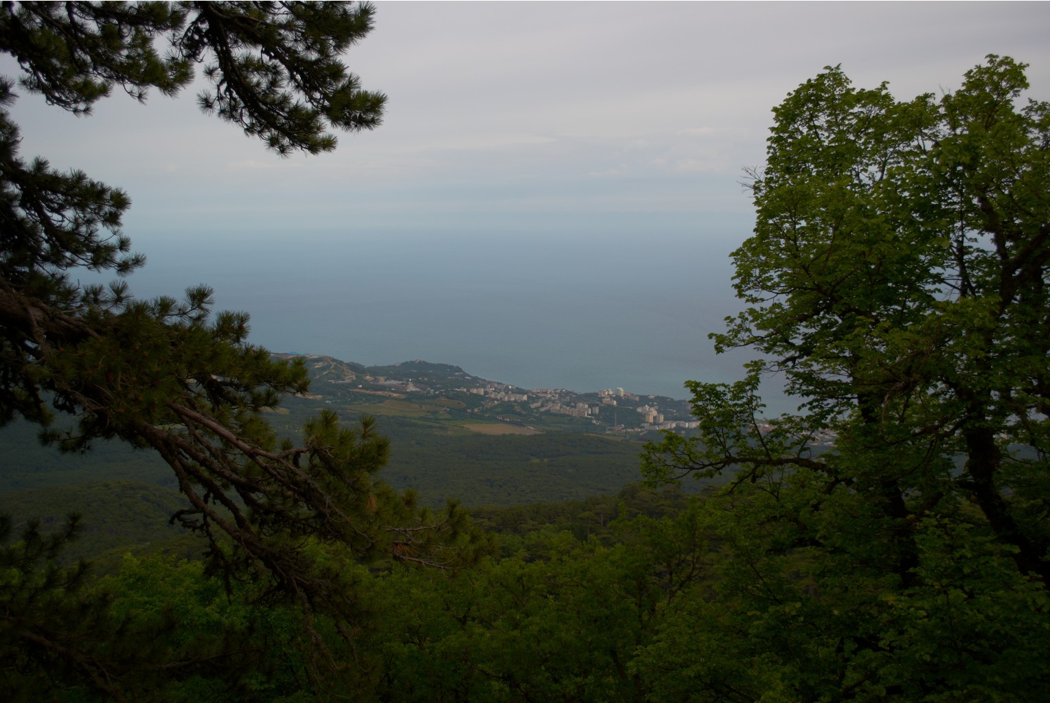 DSC_0375.jpg