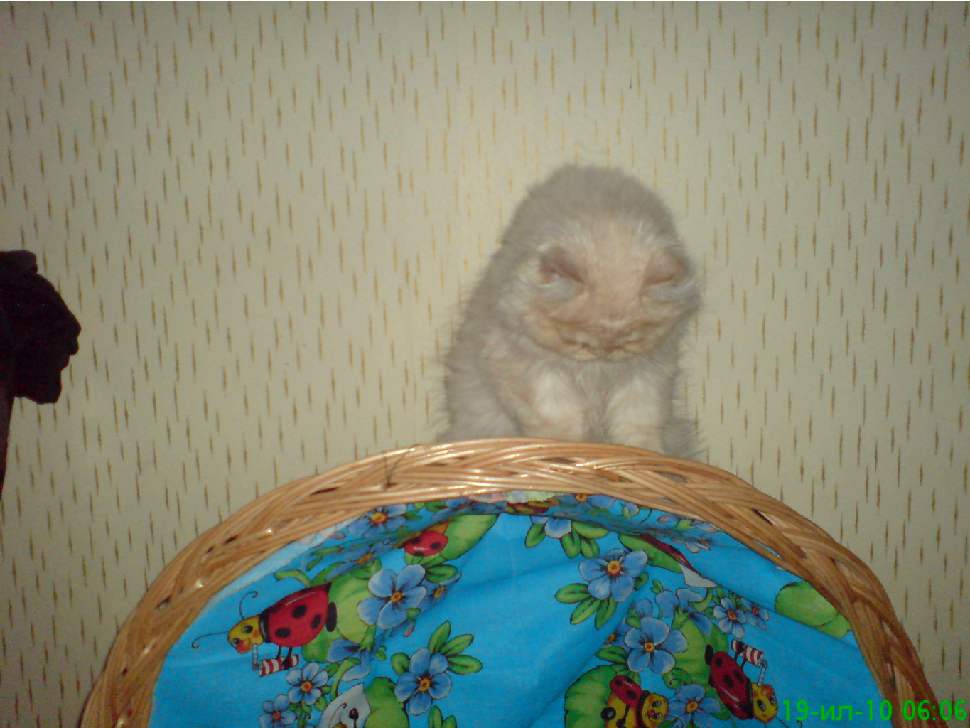 01.11.2010 11:28:51