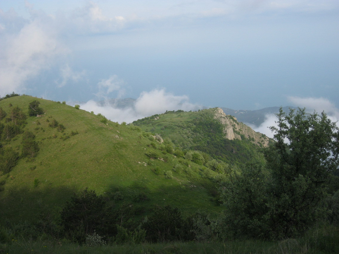IMG_3489.JPG