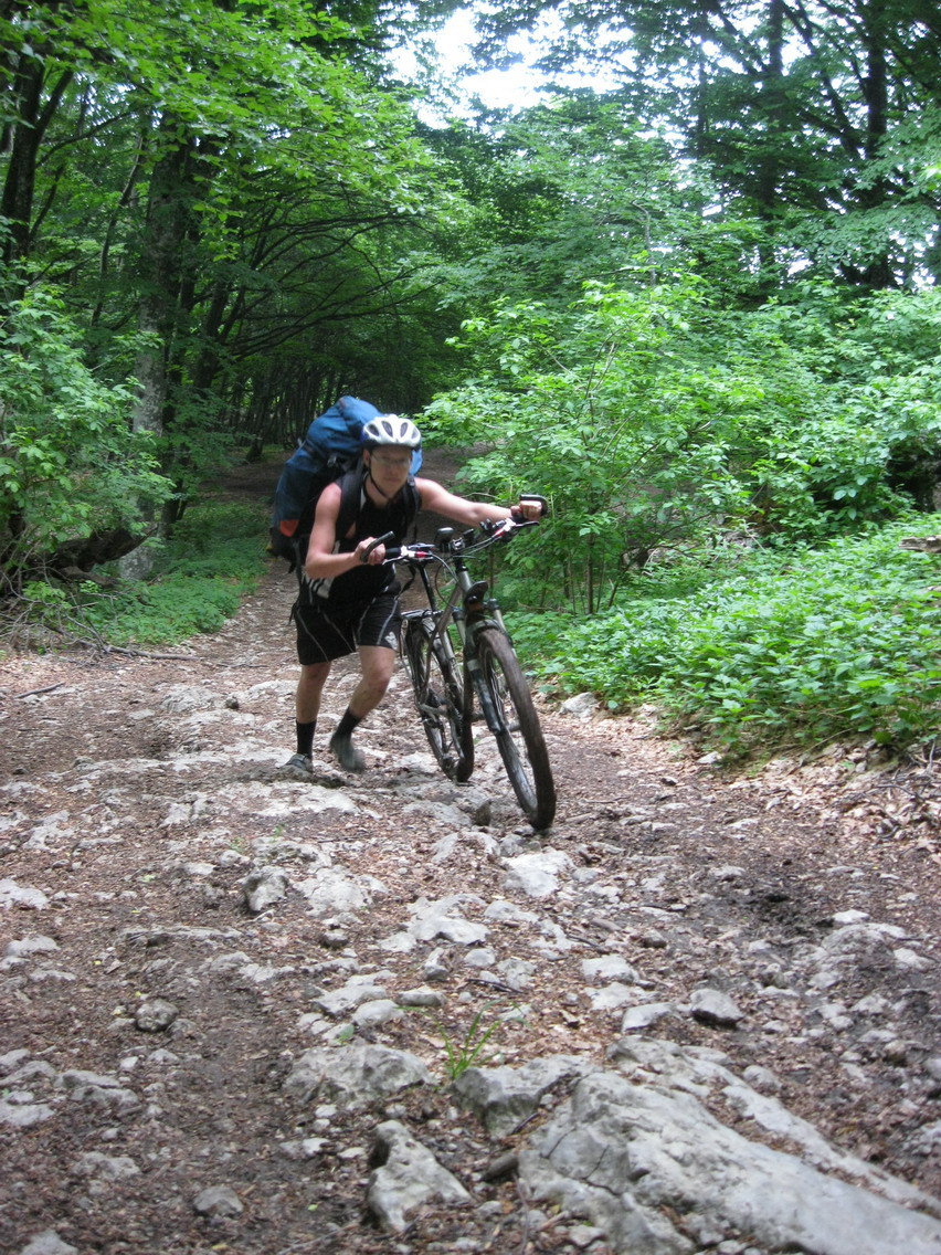 IMG_3461.JPG
