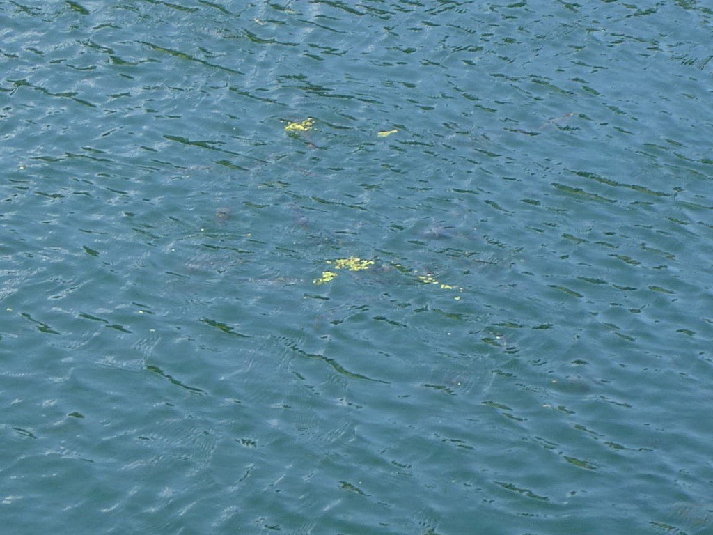 18.08.2009 17:56:25