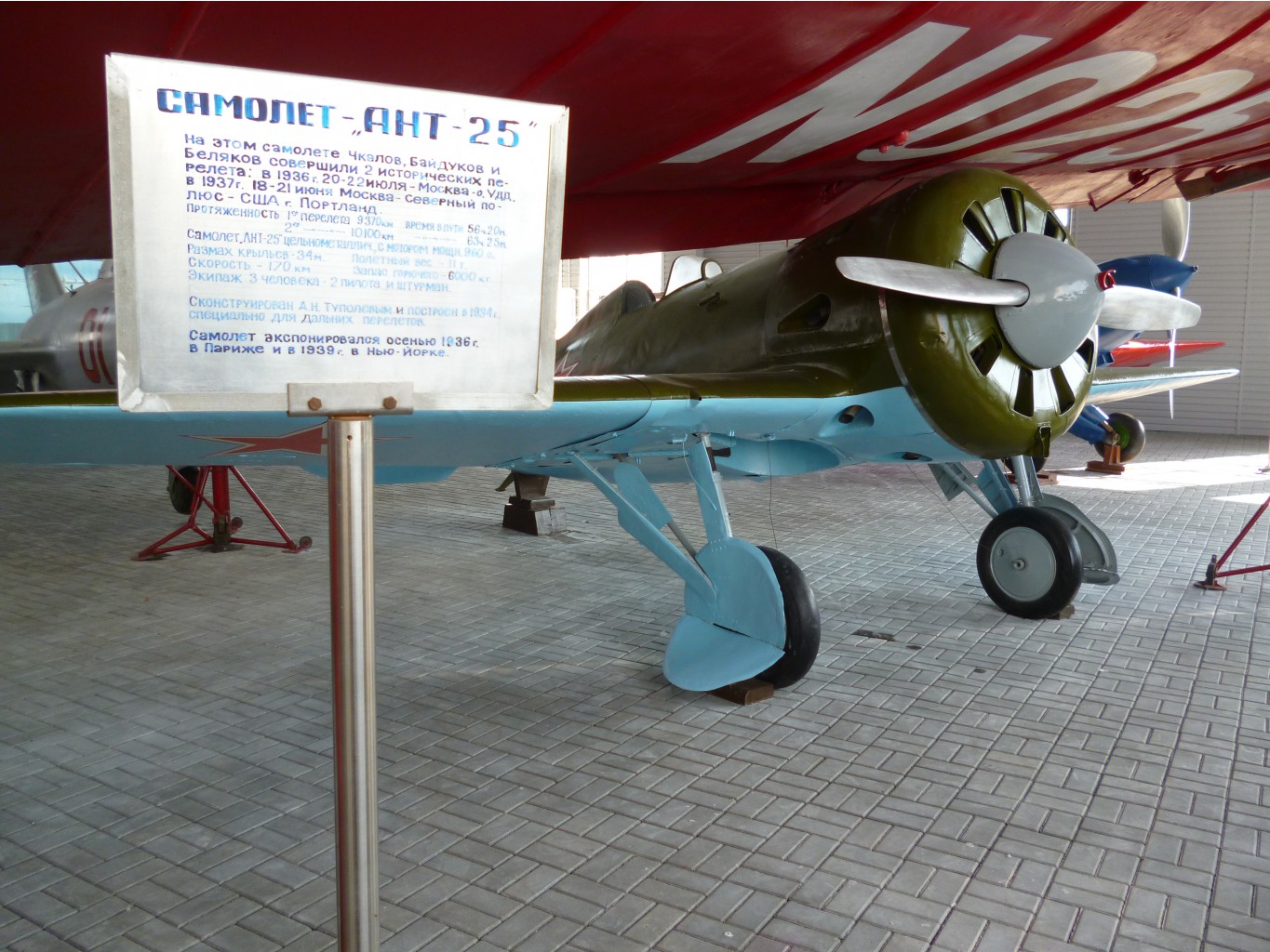 P1010483.JPG