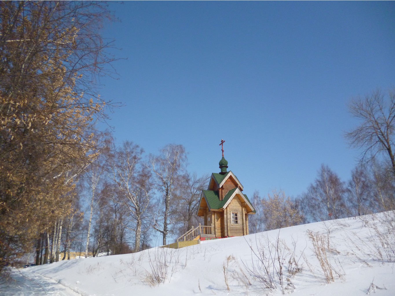 P1010370.JPG