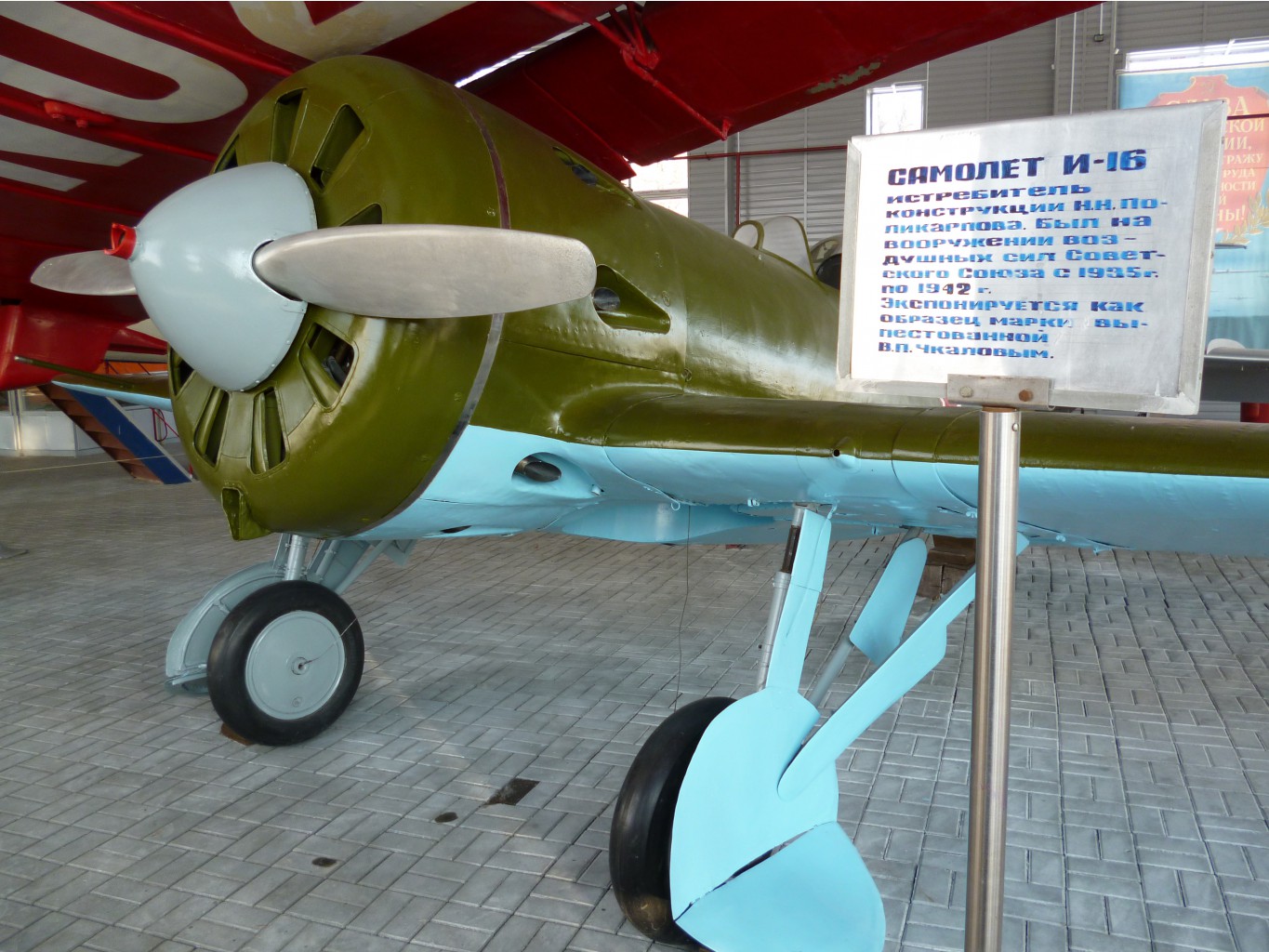P1010484.JPG