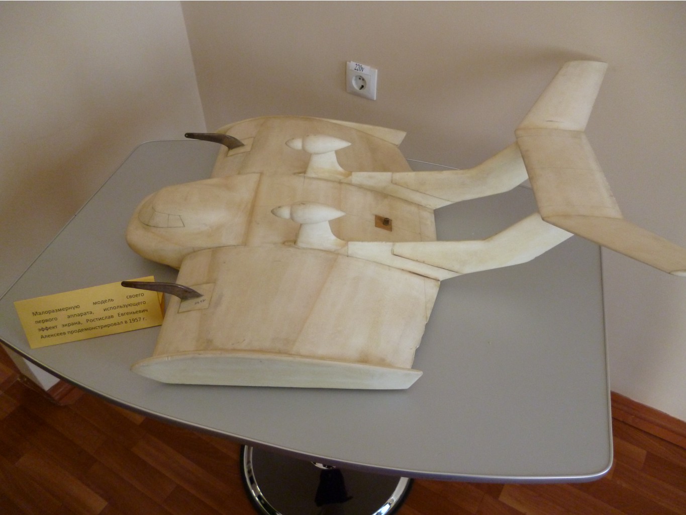 P1010421.JPG
