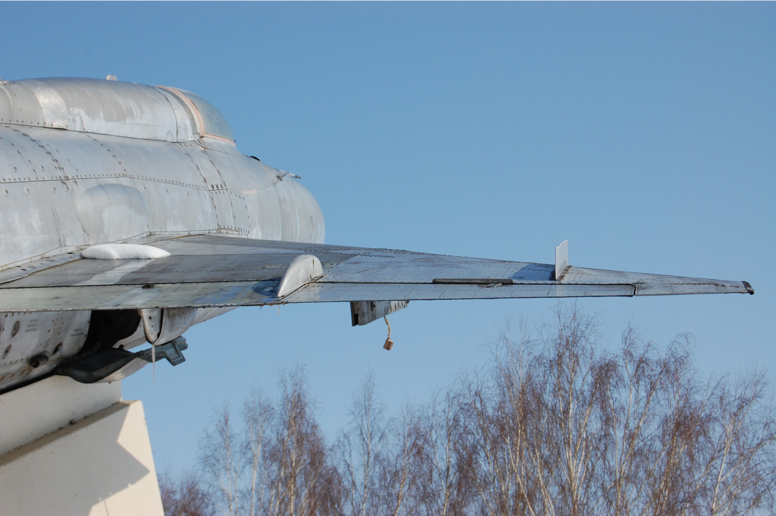 DSC_7493.JPG