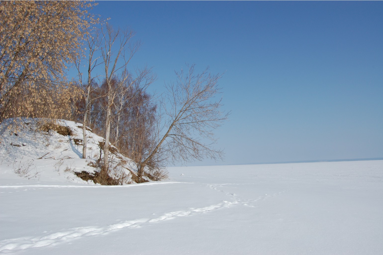 DSC_7549.JPG