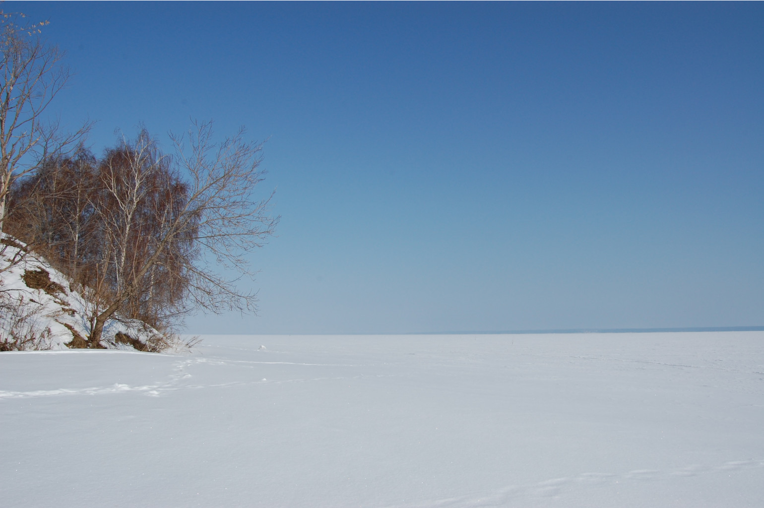DSC_7523.JPG
