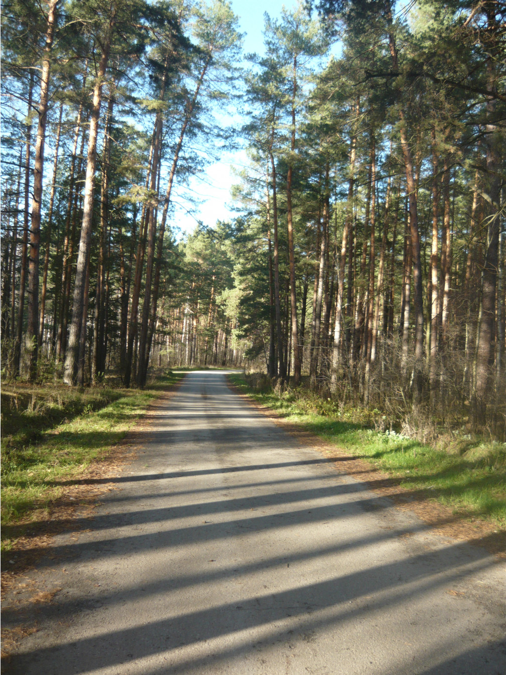 P1250102.JPG