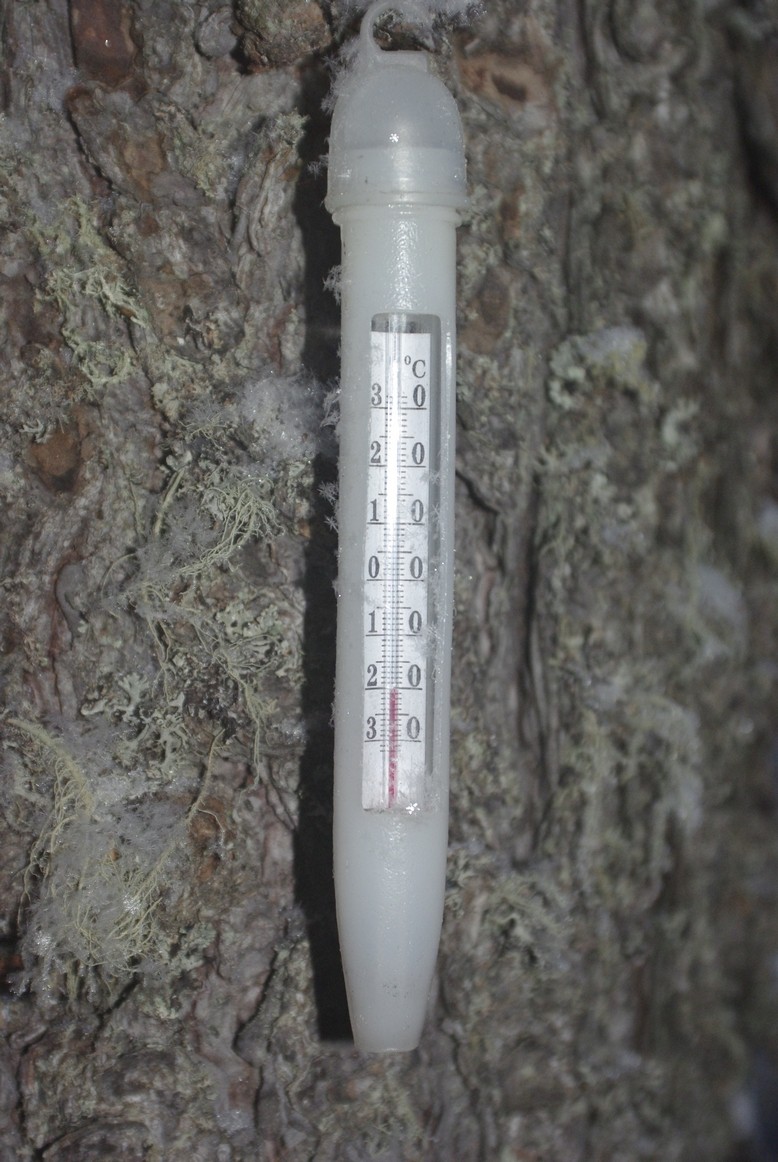 _IGP3153.jpg