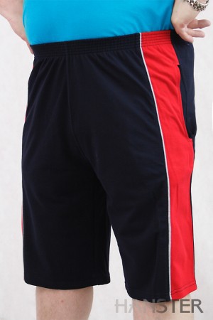 -2  .60-82. .41-31  450.jpg