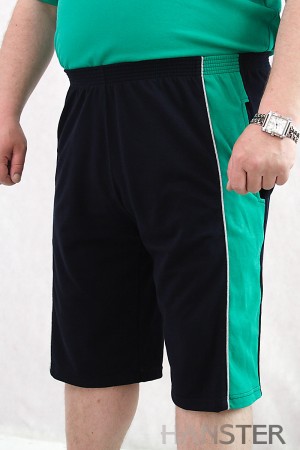 -2  .60-82. .41-54   450.jpg