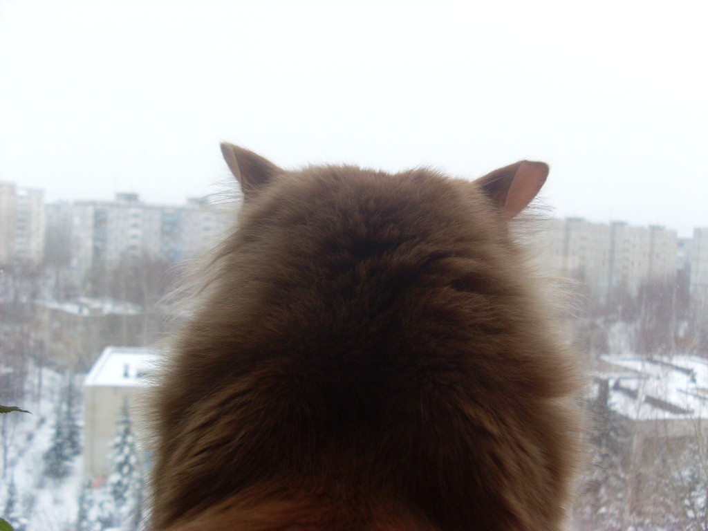 09.01.2012 20:21:34