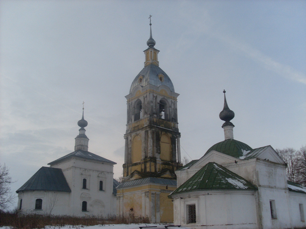 SL371957.JPG