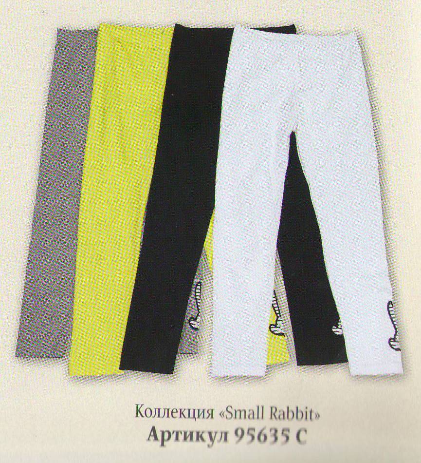 Копия 20985538.jpg