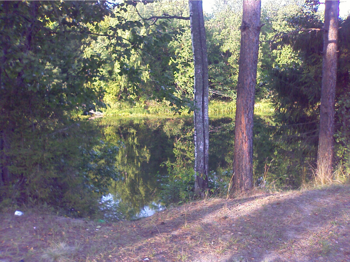 25.08.2009 15:16:49