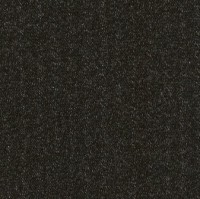 3032.jpg