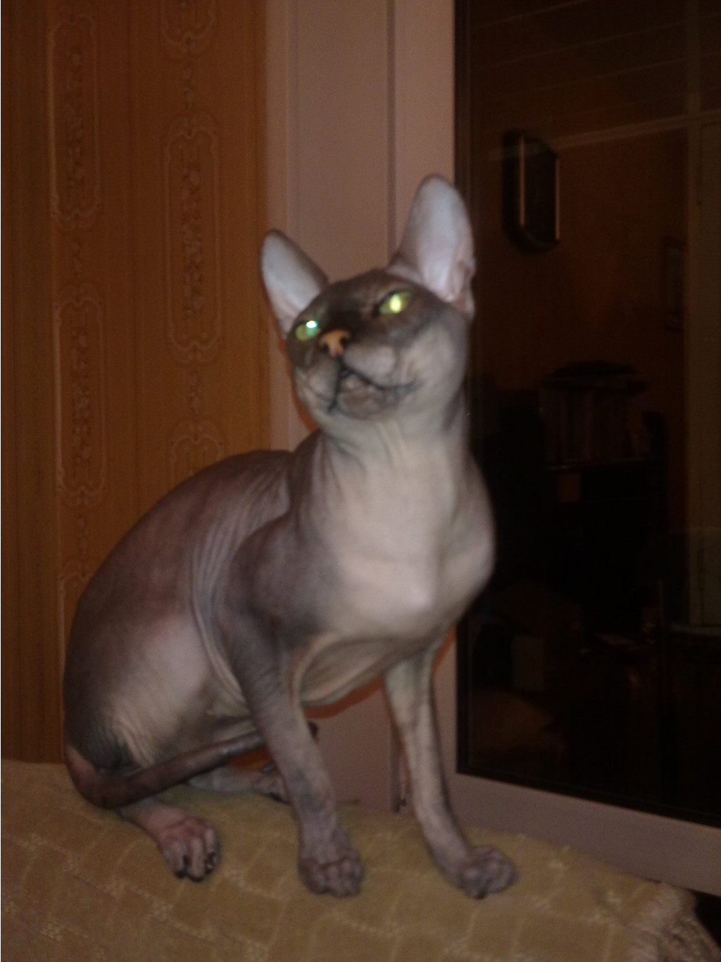 300520121333.jpg