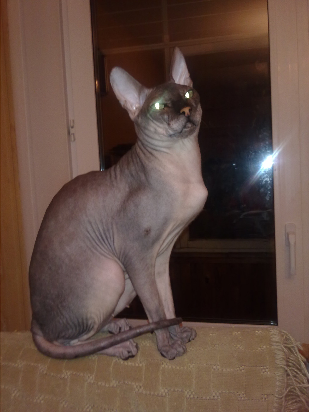 300520121331.jpg