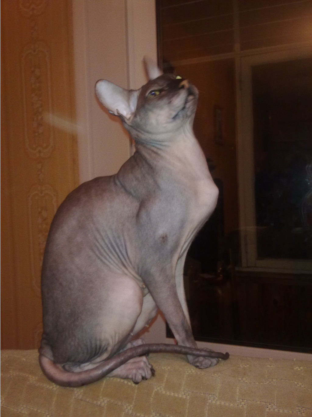 300520121327.jpg