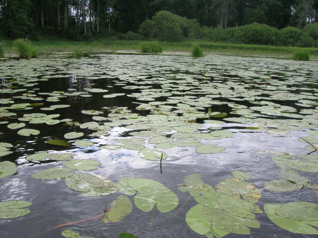 26.08.2009 11:56:39