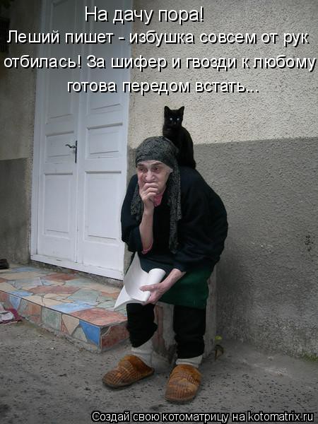 1022753.jpg
