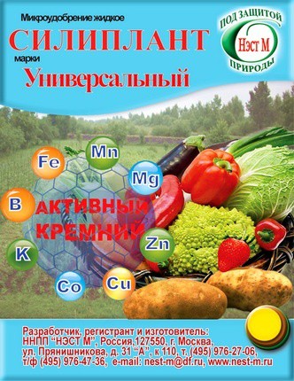 силиплант.jpg