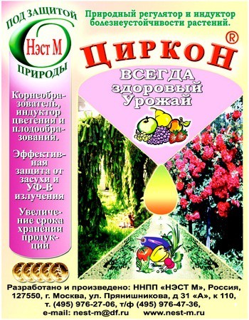 циркон