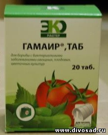 гамаир