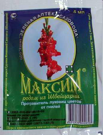 максим
