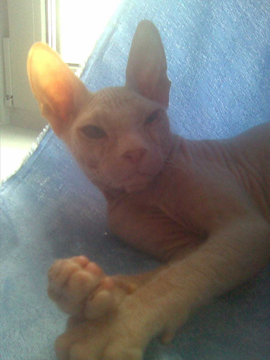 22042012_005.jpg
