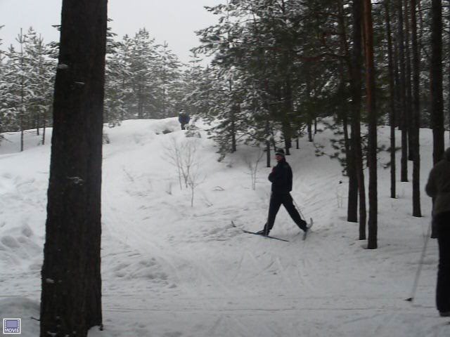 P10600371.jpg