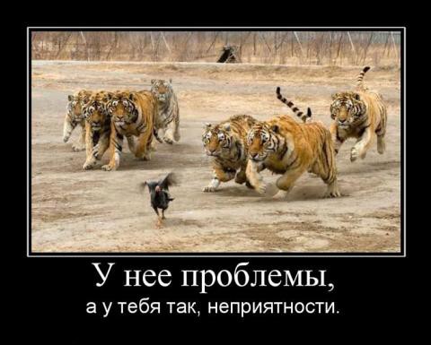 31.05.2012 19:32:51