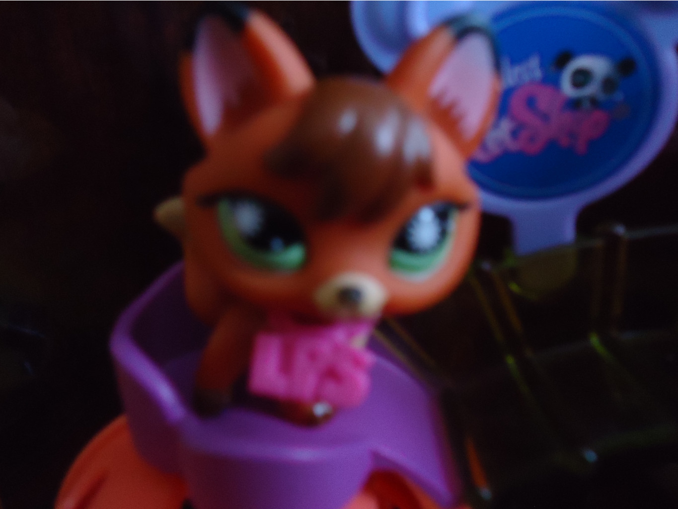 DSC00015.JPG