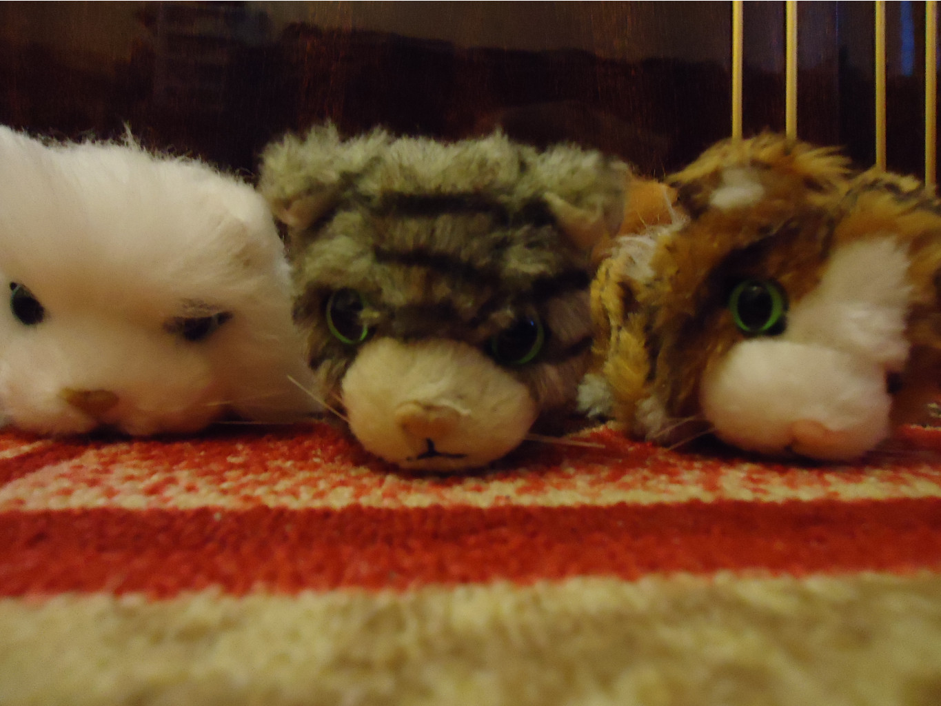 DSC00039.JPG
