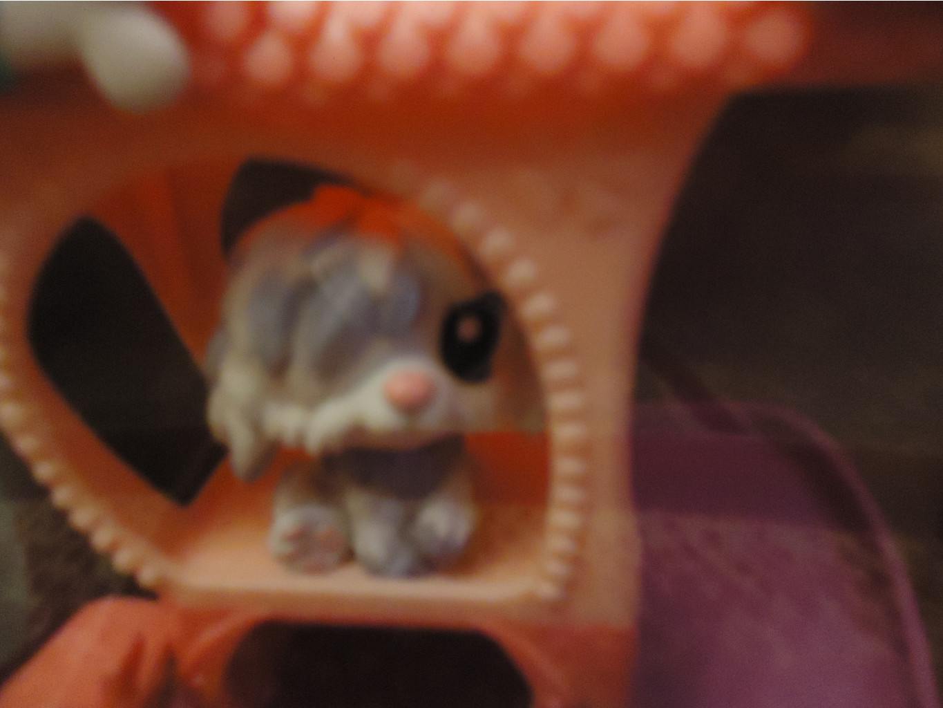 DSC00041.JPG