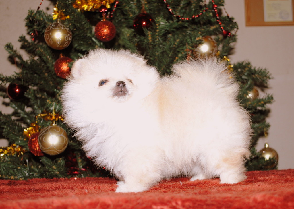 DSC_3801.JPG