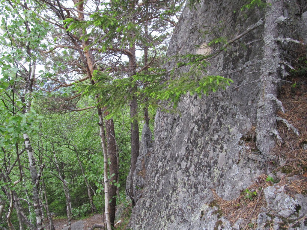 IMG_2351.JPG