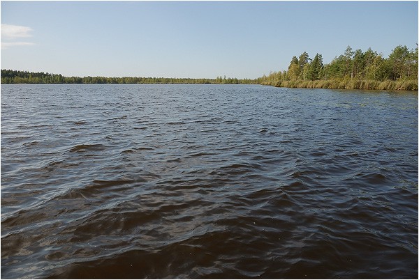05.09.2009 21:26:18