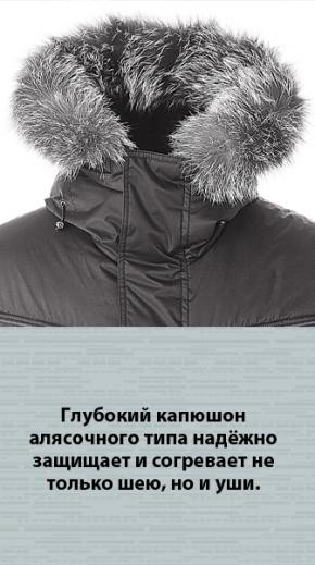 Максвел - допфото.jpg