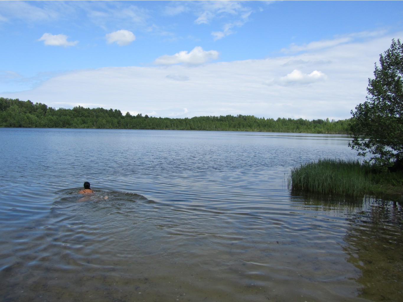 4643030.IMG_2303.jpg