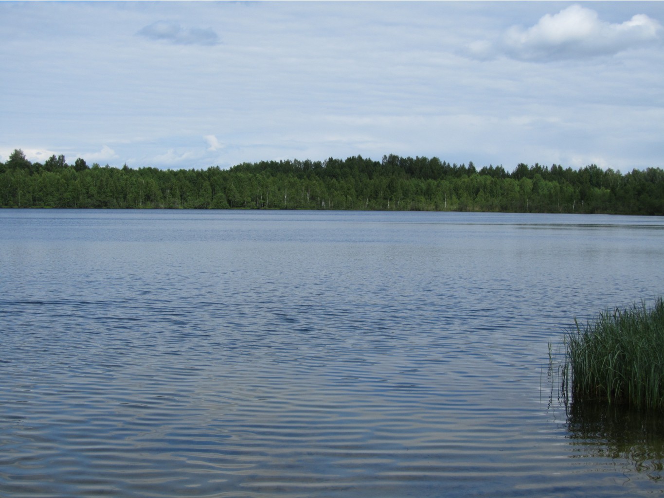 4643032.IMG_2305.jpg