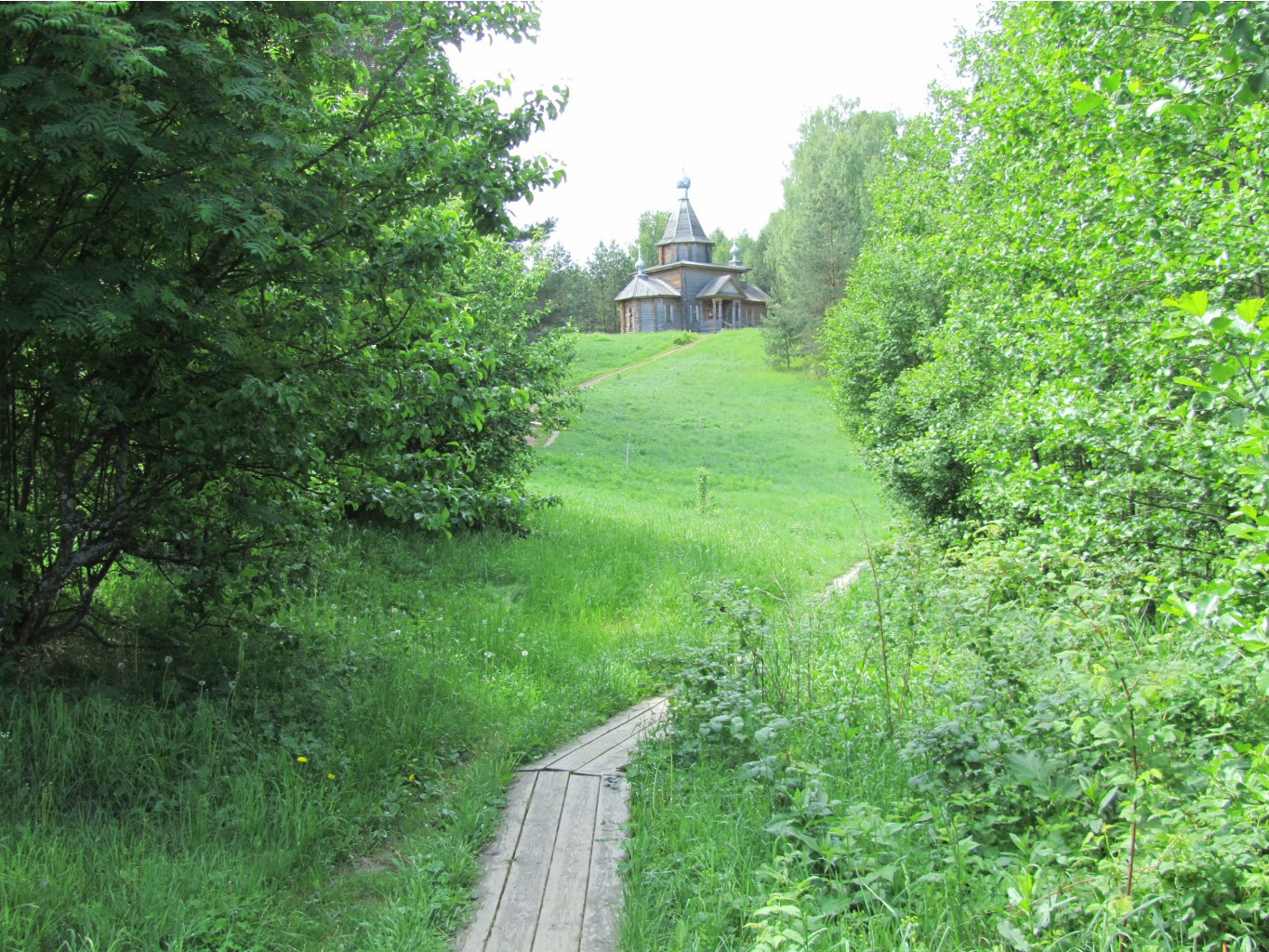 4643036.IMG_2311.jpg