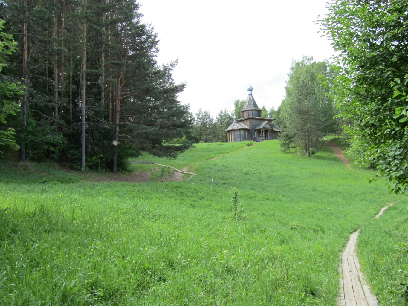 4643037.IMG_2312.jpg