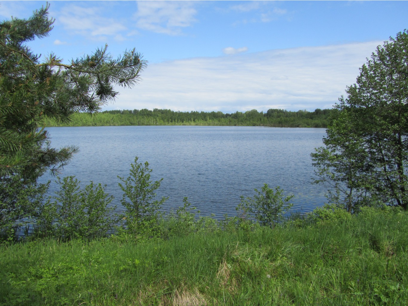 4643039.IMG_2315.jpg
