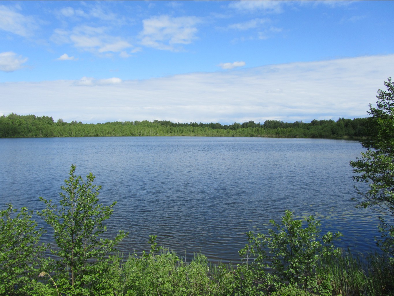 4643041.IMG_2317.jpg