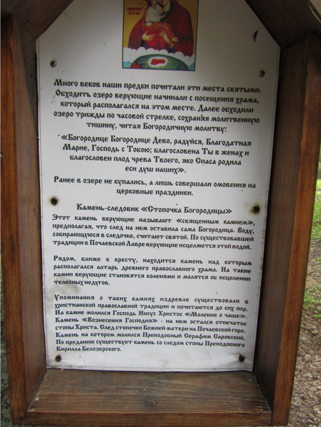 4643057.IMG_2336.jpg