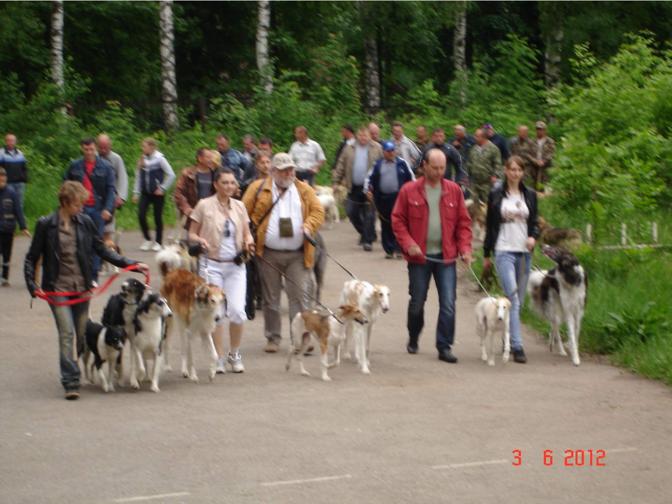 DSC06953.JPG