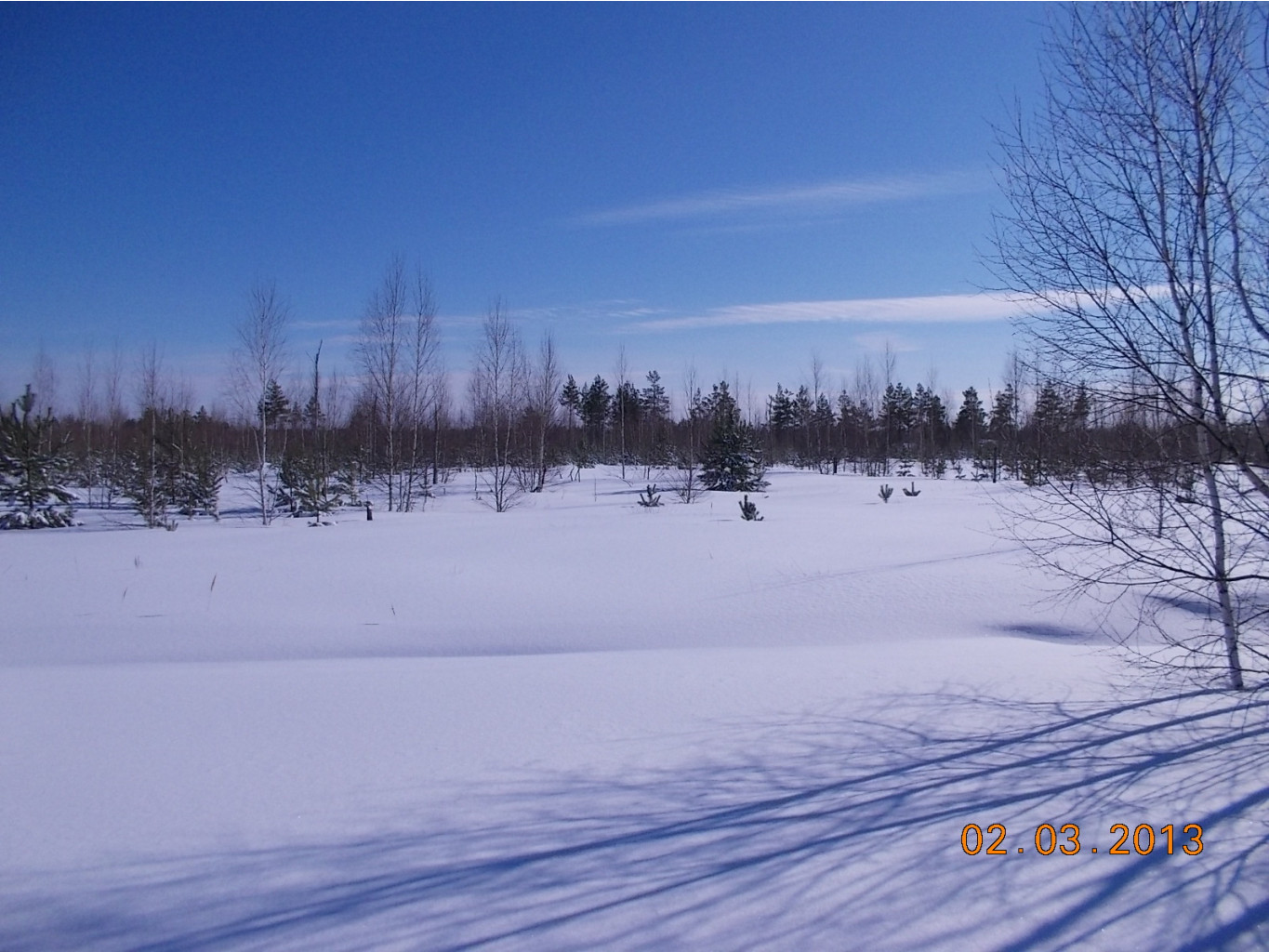 DSCN1779.JPG